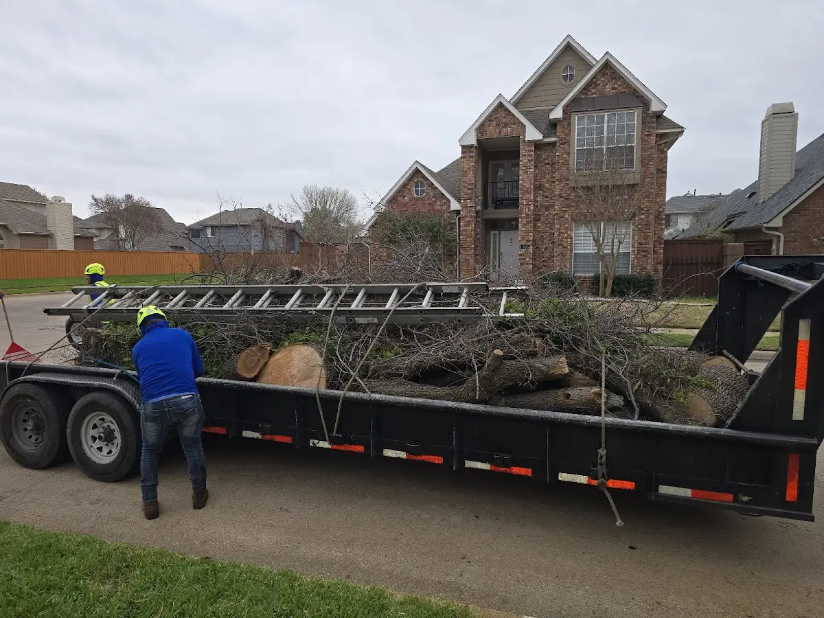 Expert Lot Clearing with proper safety equipment in Union